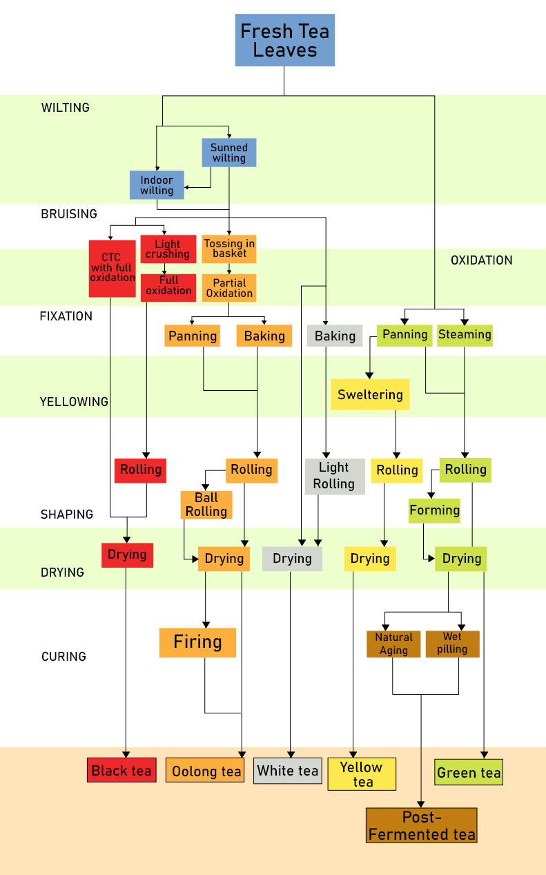 Tea Process